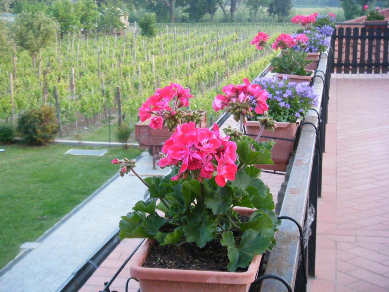 Agriturismo Grillo Iole Winery Prepotto  Εξωτερικό φωτογραφία