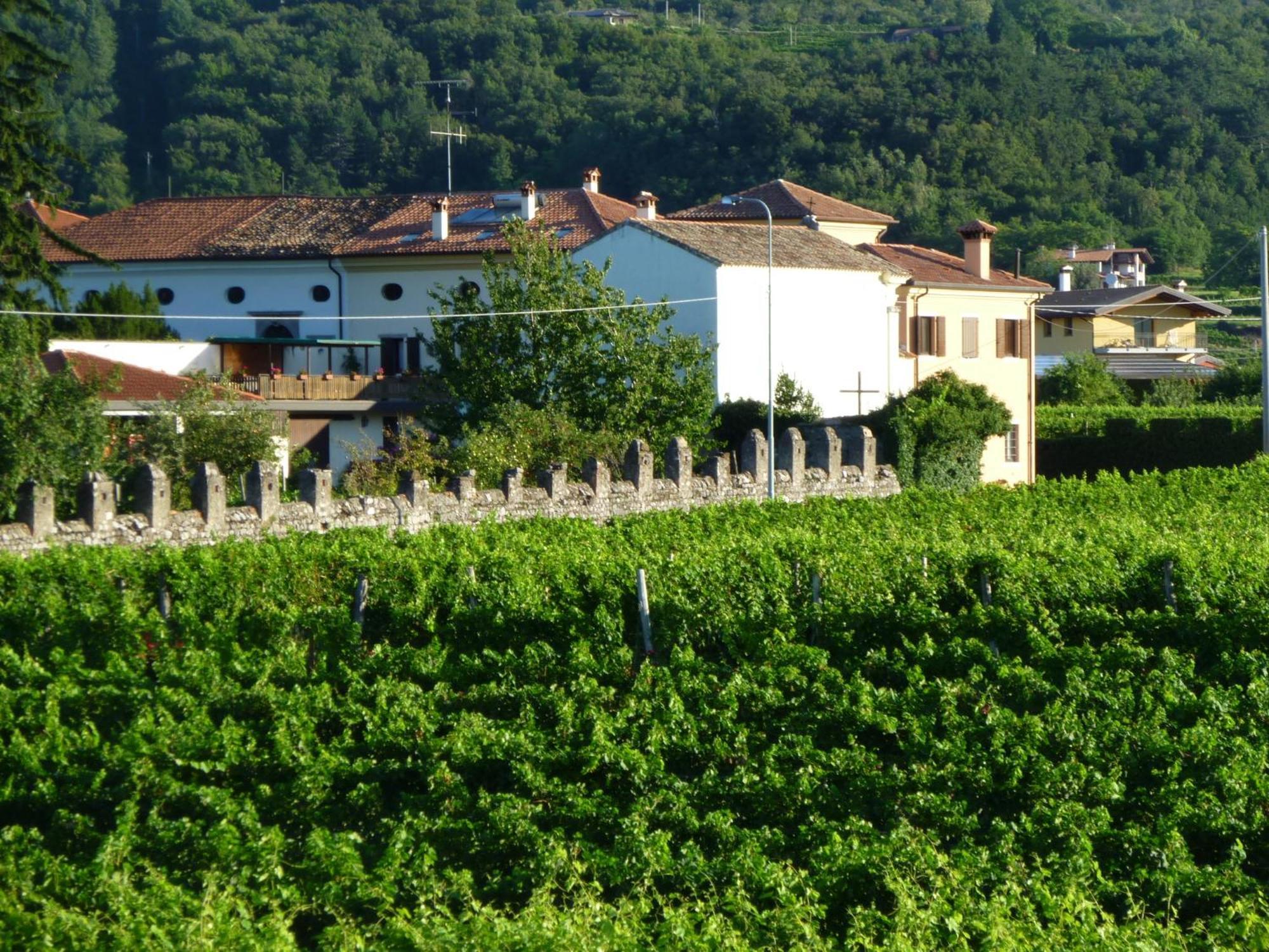 Agriturismo Grillo Iole Winery Prepotto  Εξωτερικό φωτογραφία